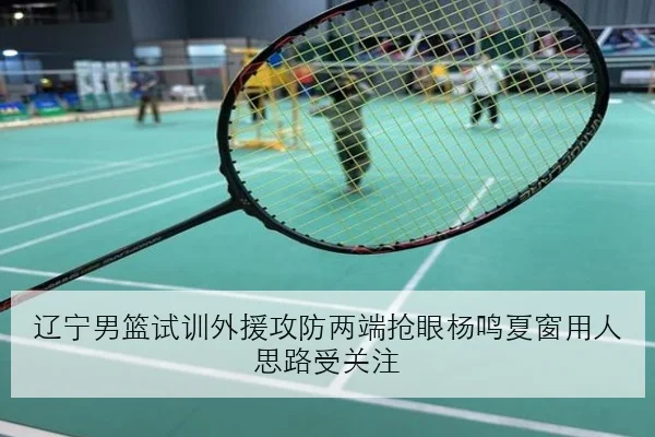 辽宁男篮试训外援攻防两端抢眼杨鸣夏窗用人思路受关注