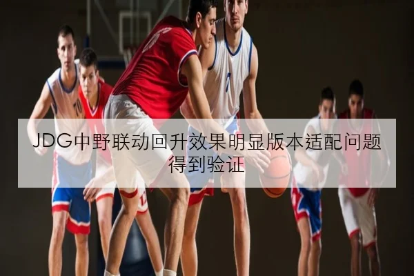 JDG中野联动回升效果明显版本适配问题得到验证